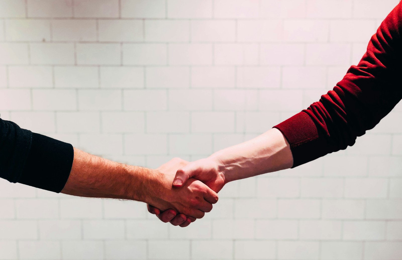Two professionals shaking hands to seal a B2B sales partnership